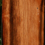 Amara Ebony Lumber