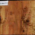 Carob Live Edge Bowl Blank