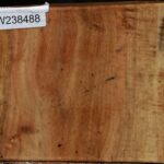 Carob Live Edge Bowl Blank