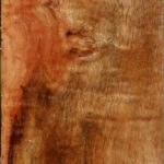 Figured Carob Turning Square