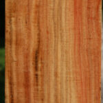 Figured Carob Vessel Blank