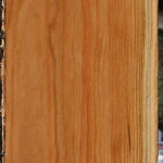 Curly Cherry Lumber