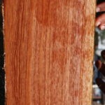 Brazilian Pepperwood Live Edge Lumber