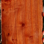 Extra Fancy Brazilian Pepperwood Lumber