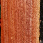 Brazilian Pepperwood Live Edge Lumber