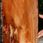 Extra Fancy Brazilian Pepperwood Live Edge Micro Lumber