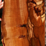 Extra Fancy Brazilian Pepperwood Live Edge Micro Lumber