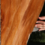 Brazilian Pepperwood Lumber