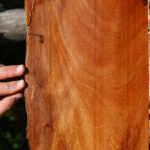 Figured Brazilian Pepperwood Live Edge Lumber