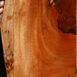 Figured Brazilian Pepperwood Live Edge Micro Lumber