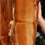 Figured Brazilian Pepperwood Live Edge Micro Lumber