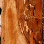Figured Rustic Brazilian Pepperwood Live Edge Micro Lumber