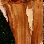 Figured Brazilian Pepperwood Live Edge Micro Lumber