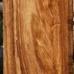 Figured Beli Lumber