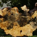 Buckeye Burl Cookie (Free Shipping Excluded)
