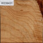 Modesto Ash Bowl Blank