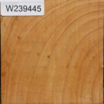 Modesto Ash Bowl Blank