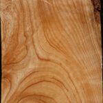 Modesto Ash Bowl Blank