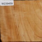 Modesto Ash Bowl Blank