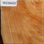 Figured Modesto Ash Bowl Blank