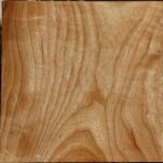 Extra Fancy Modesto Ash Bowl Blank