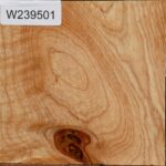 Modesto Ash Bowl Blank