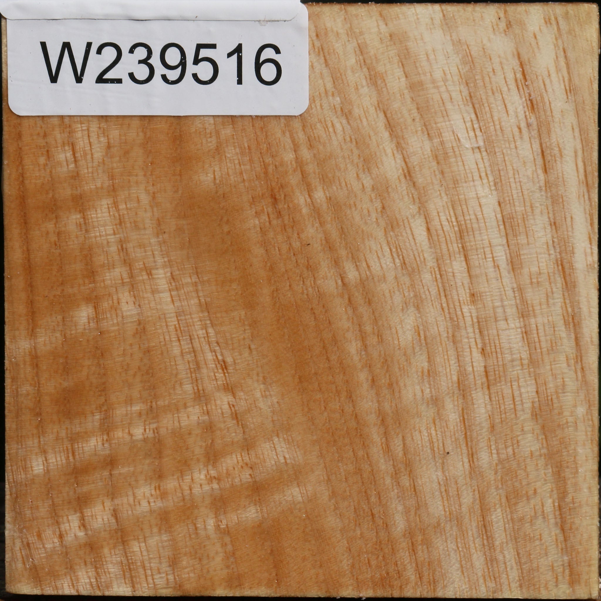 239516_1_198a3edd-4964-4205-bb7a-7ea0d69531be Figured Modesto Ash Bowl Blank - Image 1