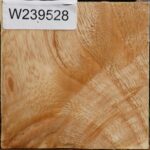 Figured Modesto Ash Bowl Blank