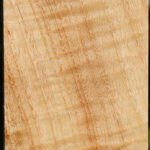 Extra Fancy Modesto Ash Peppermill