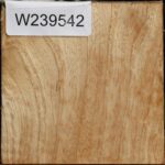 Modesto Ash Bowl Blank