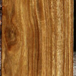Bolivian Ebony Lumber