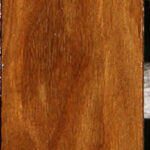 Bolivian Ebony Lumber