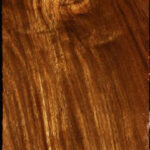 Bolivian Ebony Lumber
