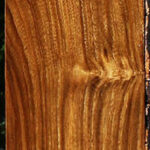 Bolivian Ebony Lumber