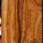 Bolivian Ebony Lumber