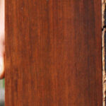 Quartersawn Cocobolo Fingerboard