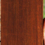 Quartersawn Cocobolo Fingerboard