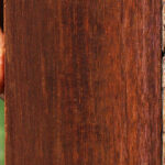 Extra Fancy Cocobolo Fingerboard