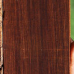 Cocobolo Micro Lumber