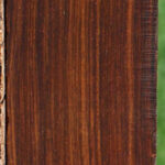 Cocobolo Fingerboard