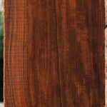 Extra Fancy Quartersawn Cocobolo Fingerboard