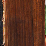 Figured Cocobolo Fingerboard