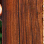 Cocobolo Micro Lumber