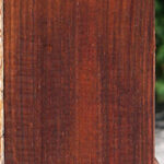 Cocobolo Fingerboard