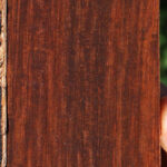 Figured Cocobolo Fingerboard