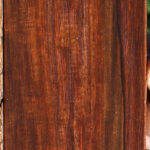 Figured Quartersawn Cocobolo Fingerboard