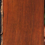 Cocobolo Micro Lumber