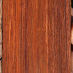 Quartersawn Cocobolo Fingerboard