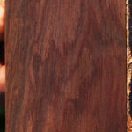 Cocobolo Micro Lumber