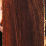 Cocobolo Micro Lumber